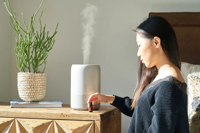 Sain chez winters quiz respirez humidifier